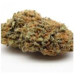 Шишки AK47 (Гидропоника, Бошка) VHQ в Бахчисарае Шишки AK47 (Гидропоника, Бошка) VHQ в Бахчисарае