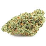 Шишки OG Kush (Гидропоника, бошки) VHQ в Бахчисарае Шишки OG Kush (Гидропоника, бошки) VHQ в Бахчисарае